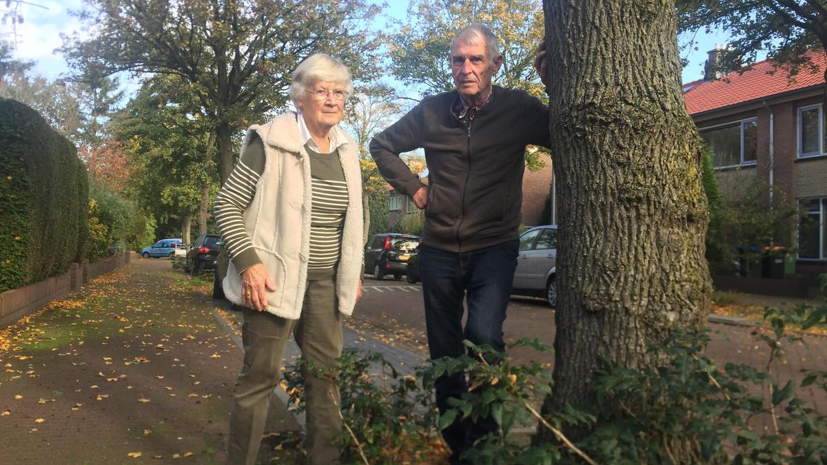 Bewoners Van Speykstraat Huizen Blijven Strijden Tegen Esdoorn: ’De ...